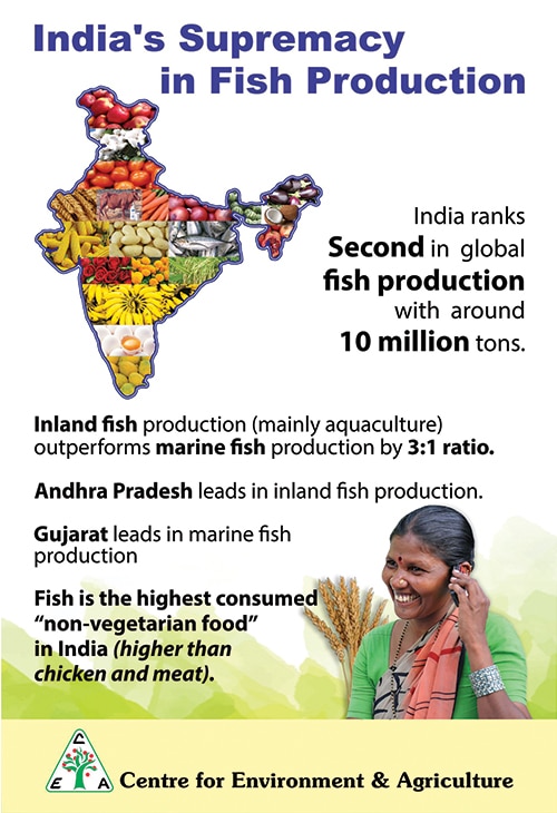 india's fish production poster