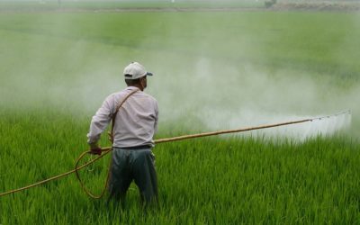 pesticides spreading